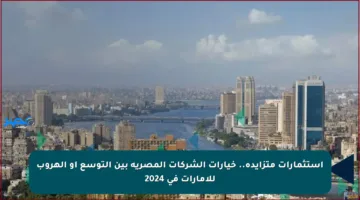 استثمارات متزايدة.. خيارات الشركات المصرية بين التوسع أو الهروب للإمارات في 2024